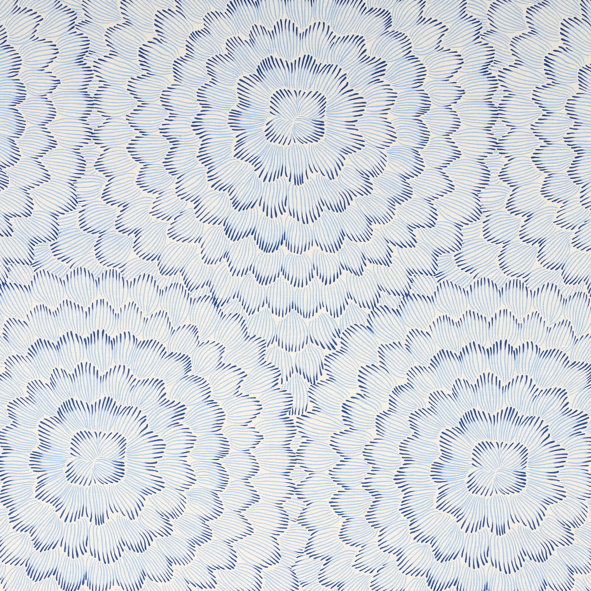FEATHER-BLOOM-TWO-BLUES-SCHUMACHER-180360