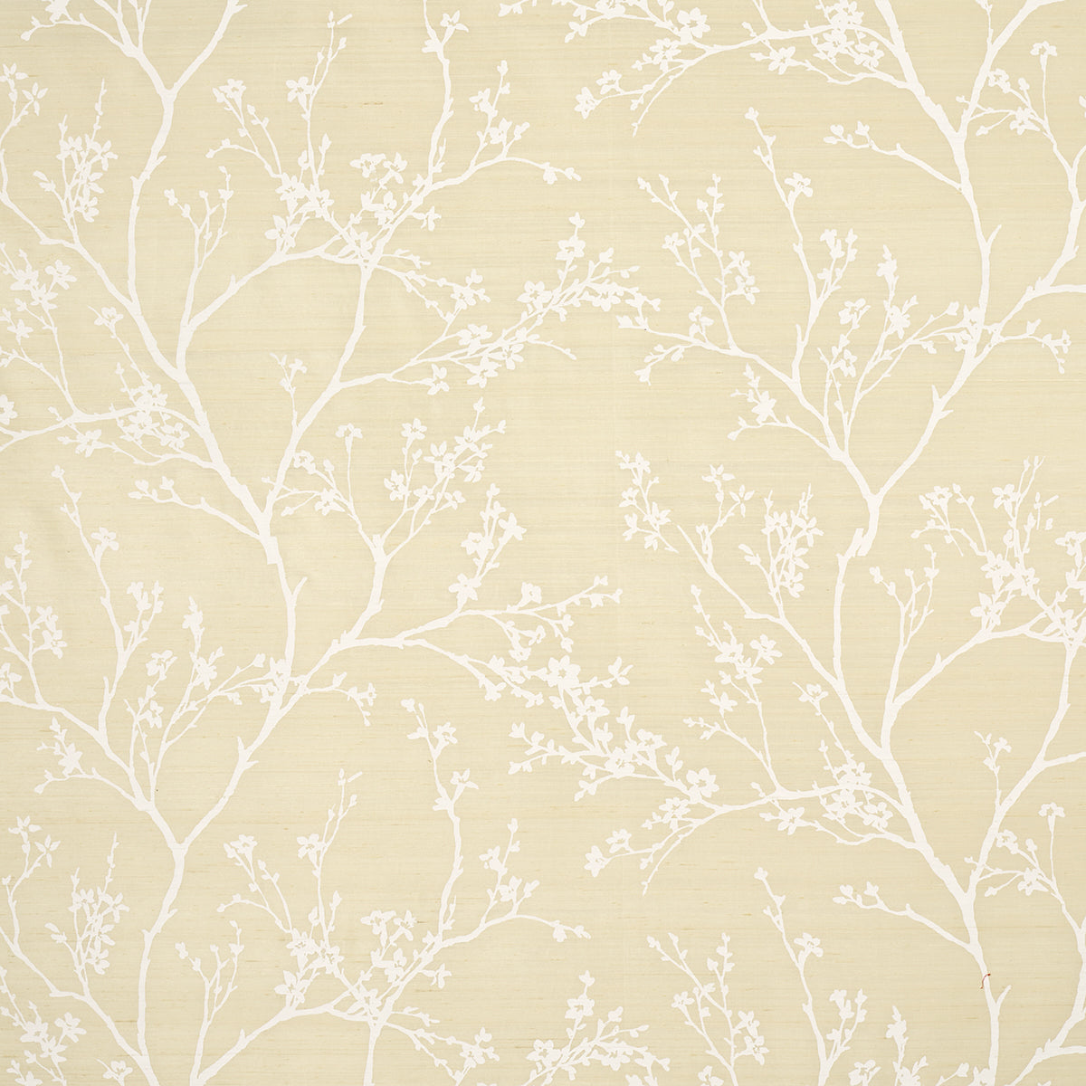 TWIGGY-SILK-CHAMPAGNE-SCHUMACHER-180501