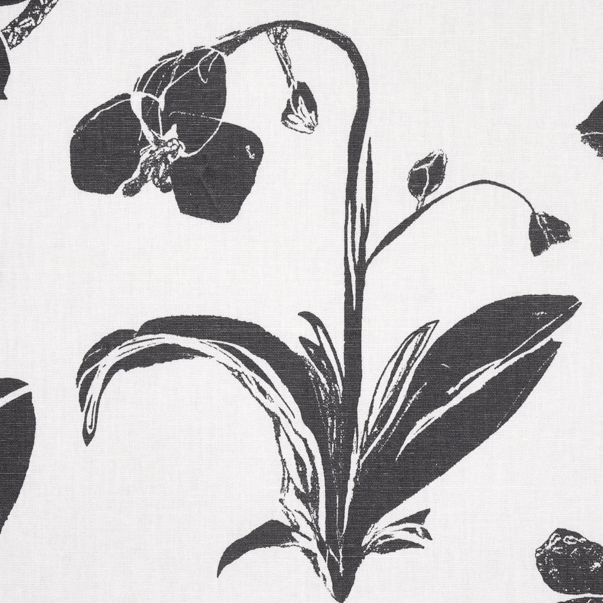 ORCHIDS-HAVE-DREAMS-SOFT-BLACK-SCHUMACHER-180510