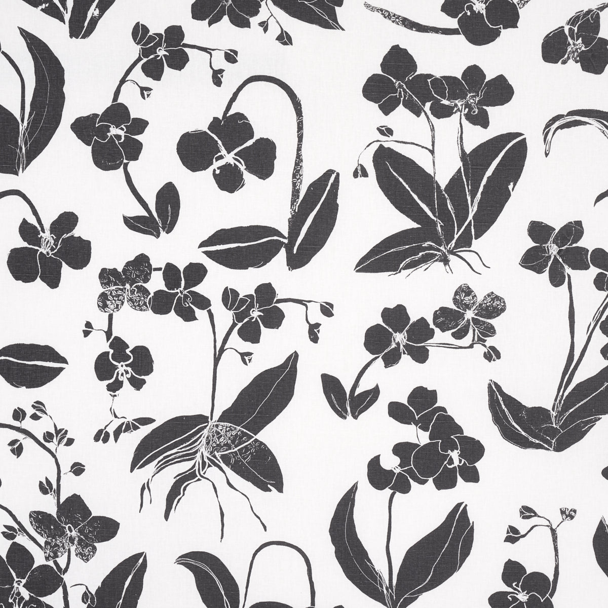 ORCHIDS-HAVE-DREAMS-SOFT-BLACK-SCHUMACHER-180510