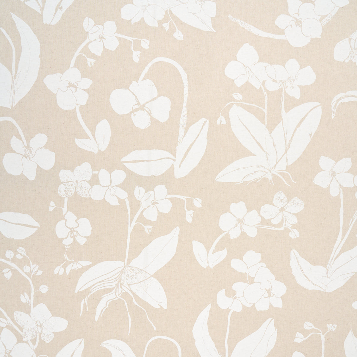 ORCHIDS-HAVE-DREAMS-LIGHT-NEUTRAL-SCHUMACHER-180511