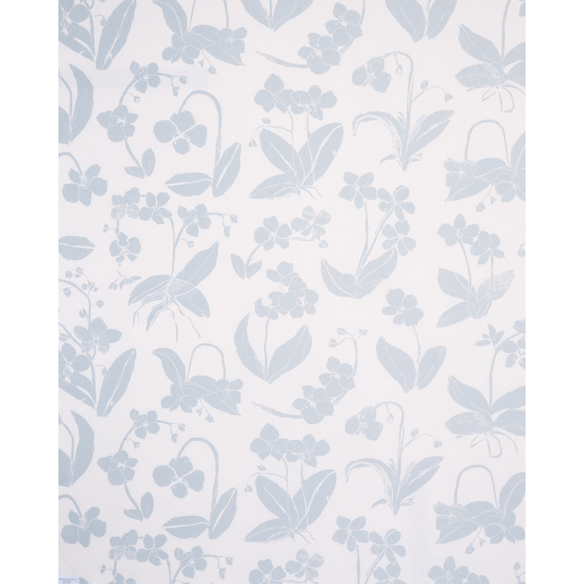 ORCHIDS-HAVE-DREAMS-SKY-SCHUMACHER-180512
