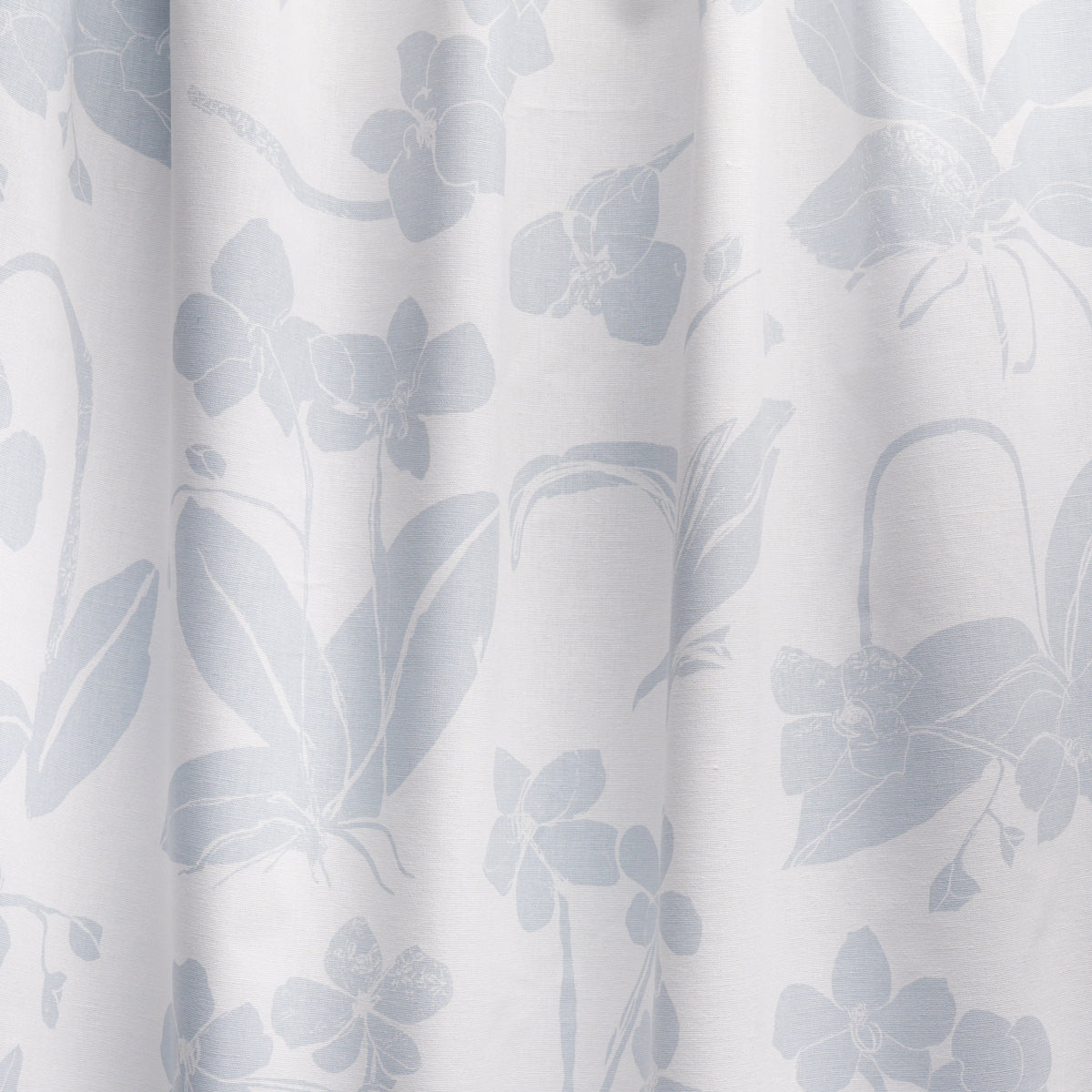 ORCHIDS-HAVE-DREAMS-SKY-SCHUMACHER-180512