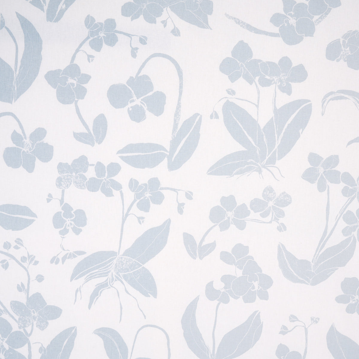 ORCHIDS-HAVE-DREAMS-SKY-SCHUMACHER-180512