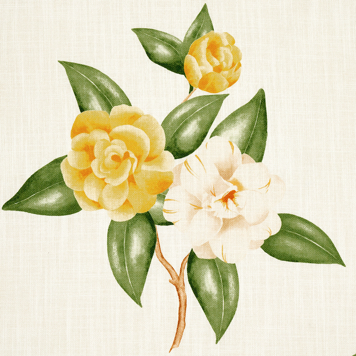 CASABLANCA-FLORAL-INDOOR-OUTDOOR-PALE-YELLOW-SCHUMACHER-180912