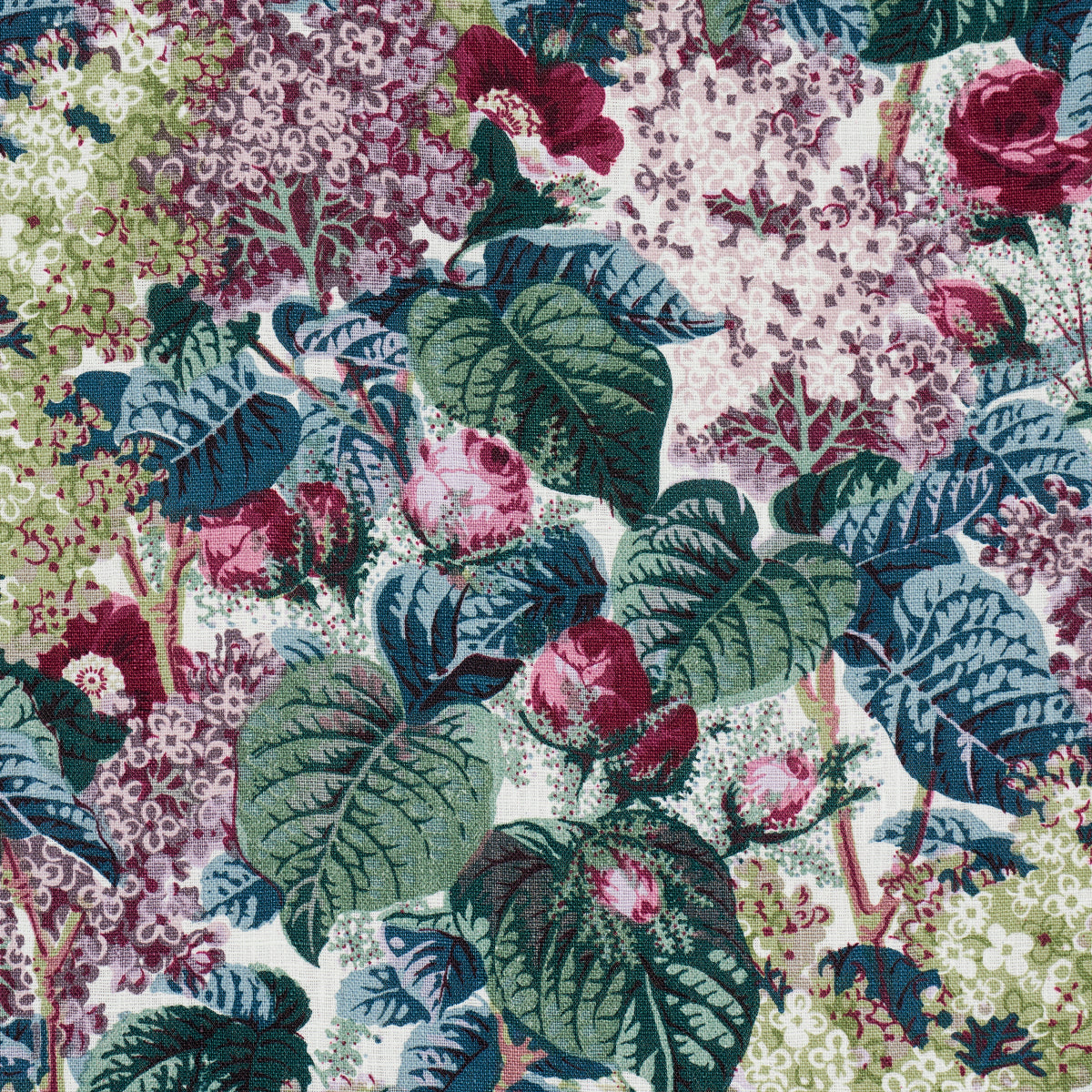 FLORAS-FLEURS-PLUM-SCHUMACHER-181870