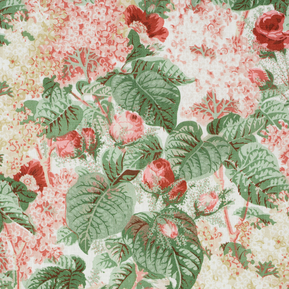 FLORAS-FLEURS-APRICOT-SCHUMACHER-181871