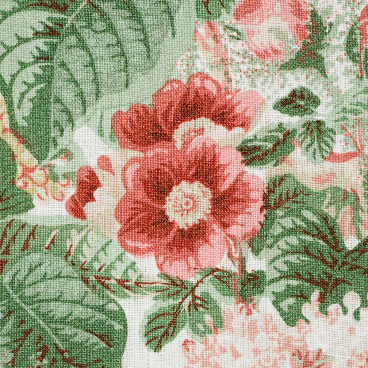 FLORAS-FLEURS-APRICOT-SCHUMACHER-181871