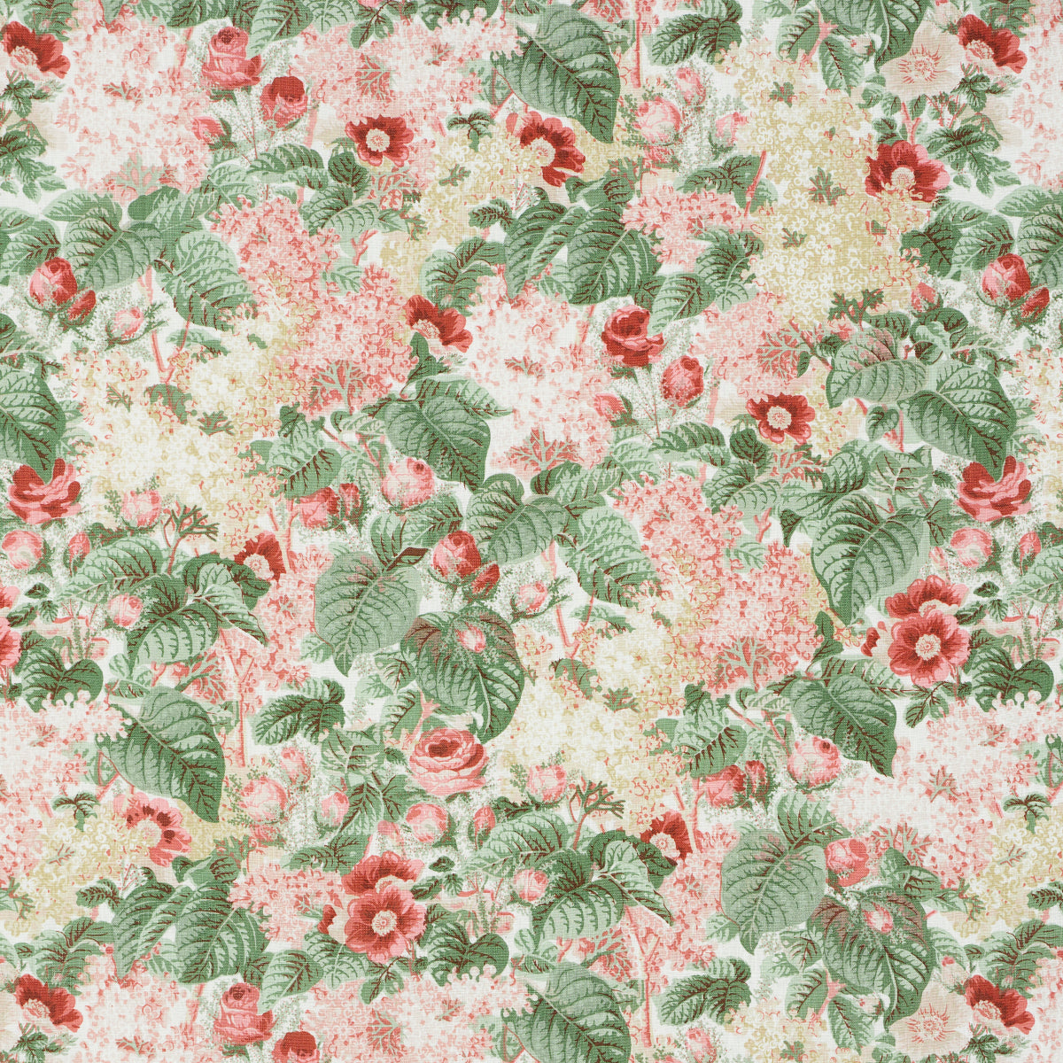 FLORAS-FLEURS-APRICOT-SCHUMACHER-181871