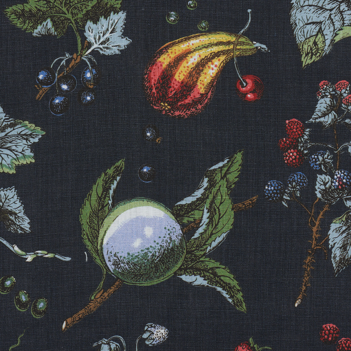 BERRY-GROVE-NOIR-SCHUMACHER-181890