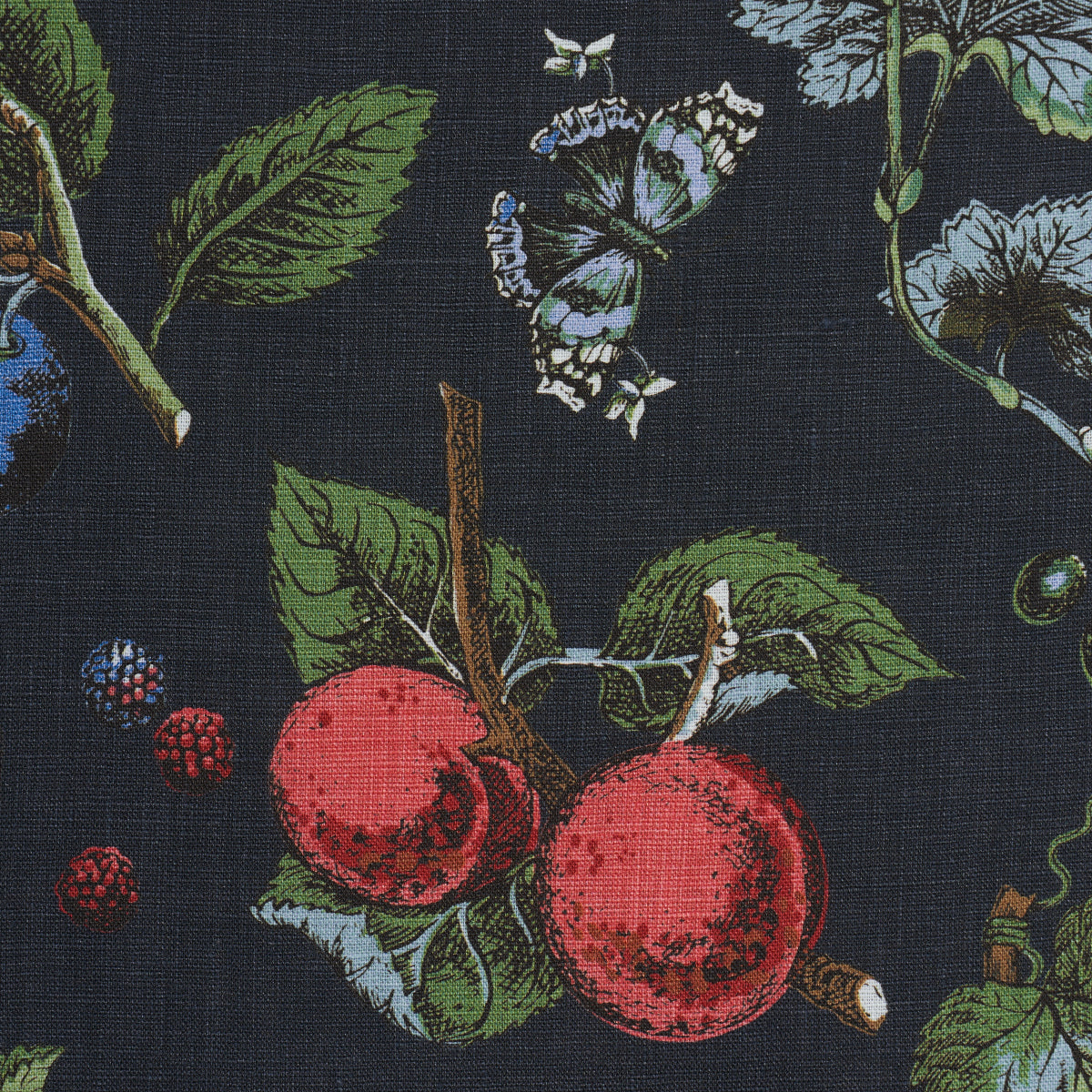 BERRY-GROVE-NOIR-SCHUMACHER-181890