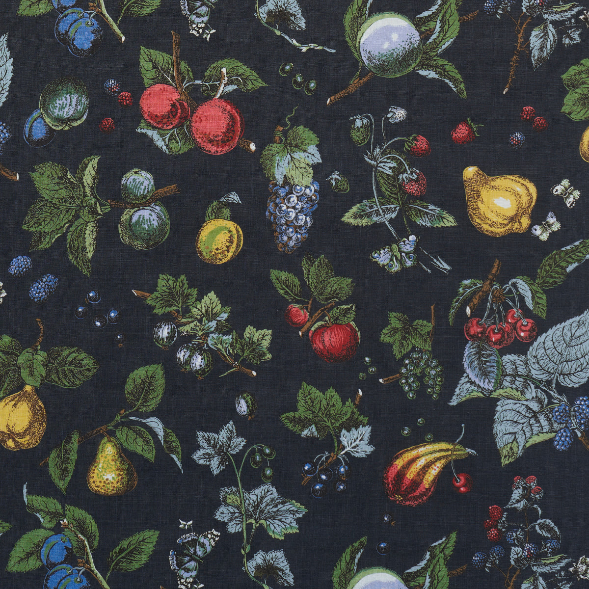 BERRY-GROVE-NOIR-SCHUMACHER-181890