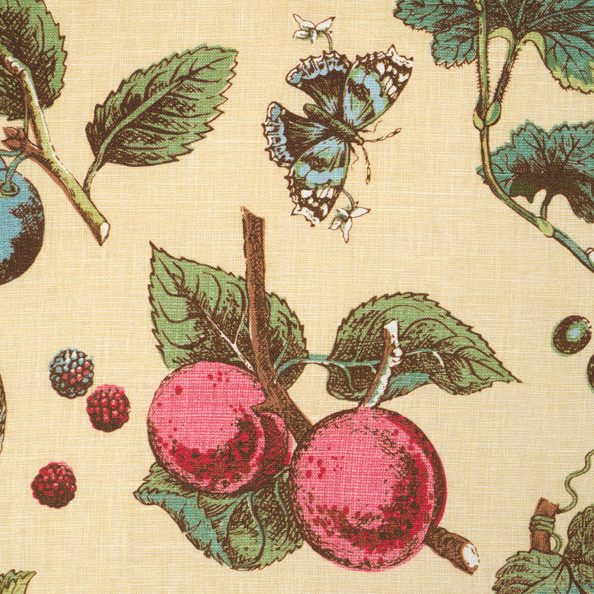 BERRY-GROVE-BUTTER-SCHUMACHER-181892