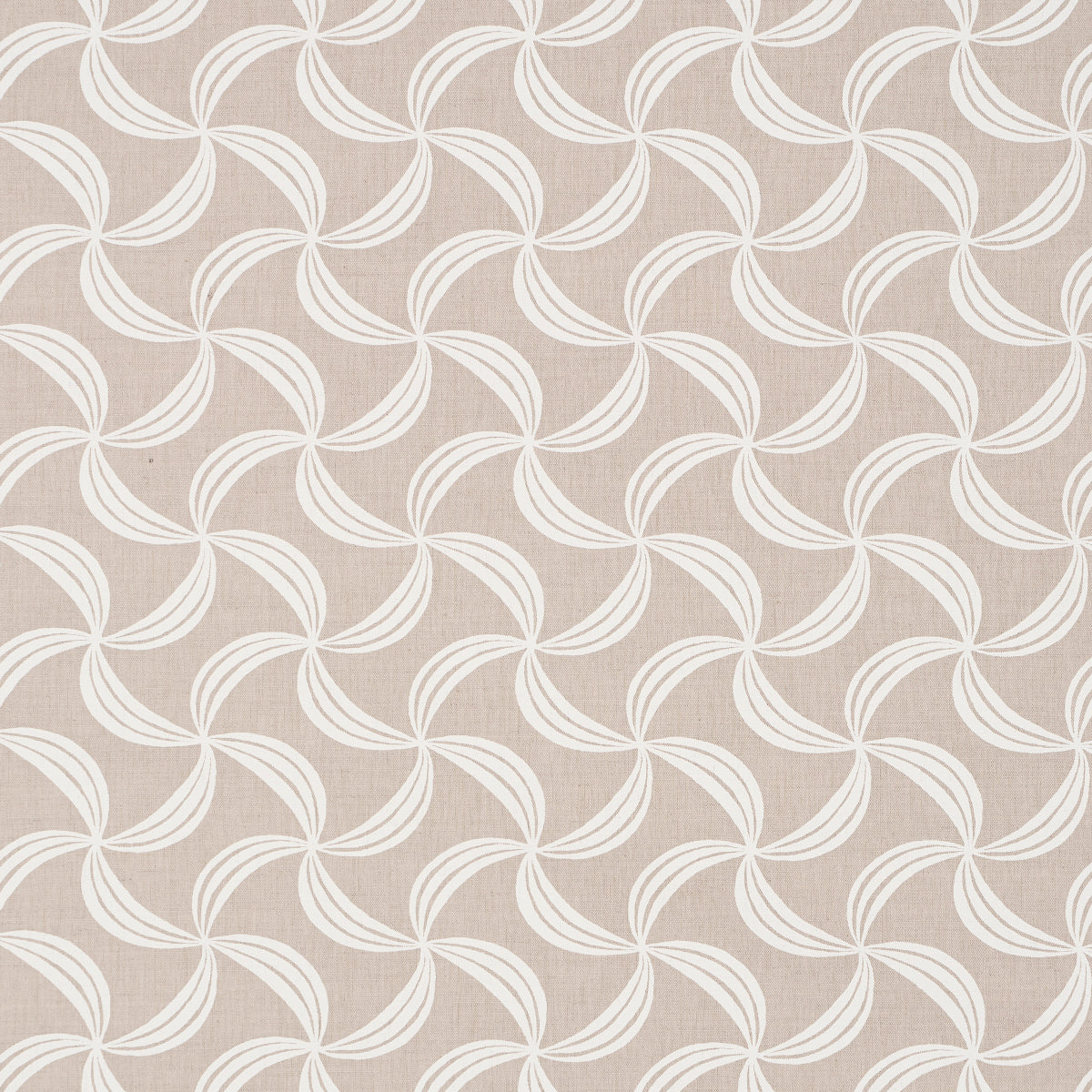 AMBROSIA-NATURAL-SCHUMACHER-181920