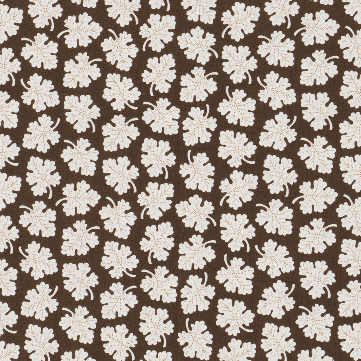 OLIVE-BROWN-SCHUMACHER-182031