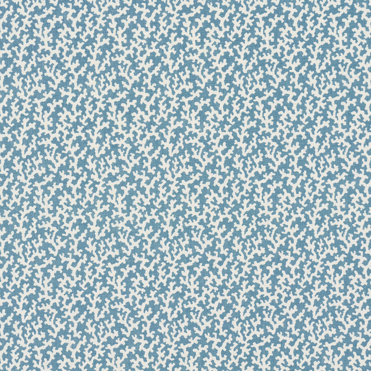 FOLLY-MARINE-SCHUMACHER-182091