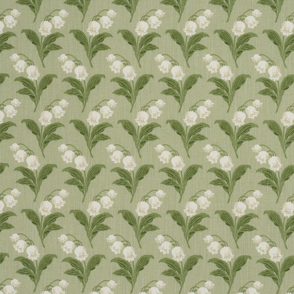 LILY-OF-THE-VALLEY-INDOOR-OUTDOOR-MOSS-SCHUMACHER-182140