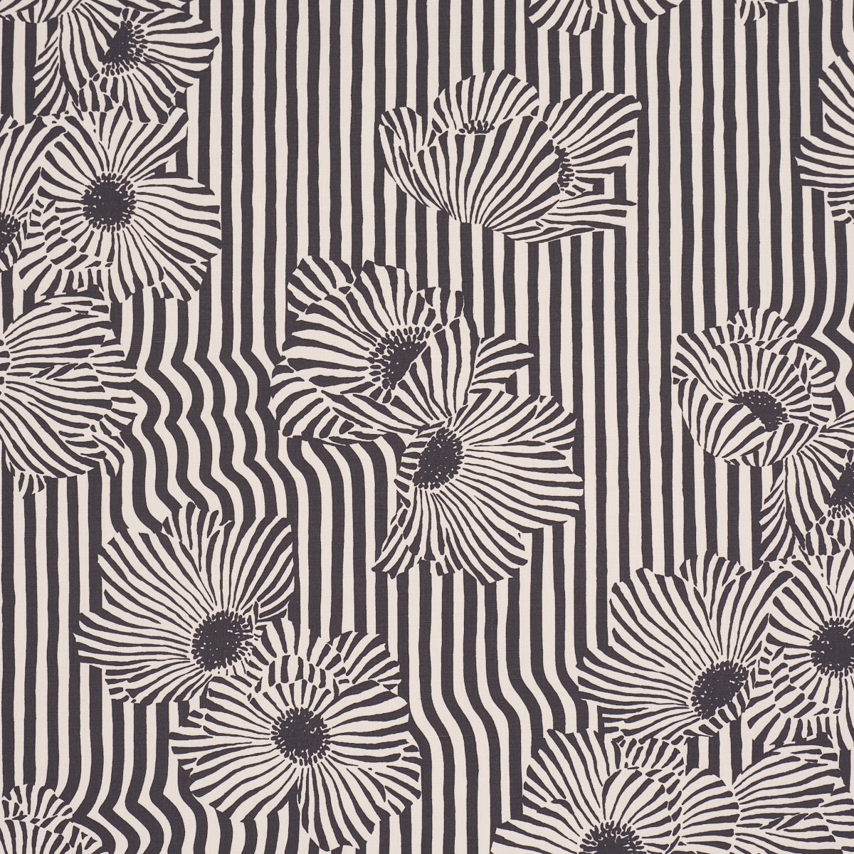 CHANEY-FLORAL-CARBON-SCHUMACHER-182542
