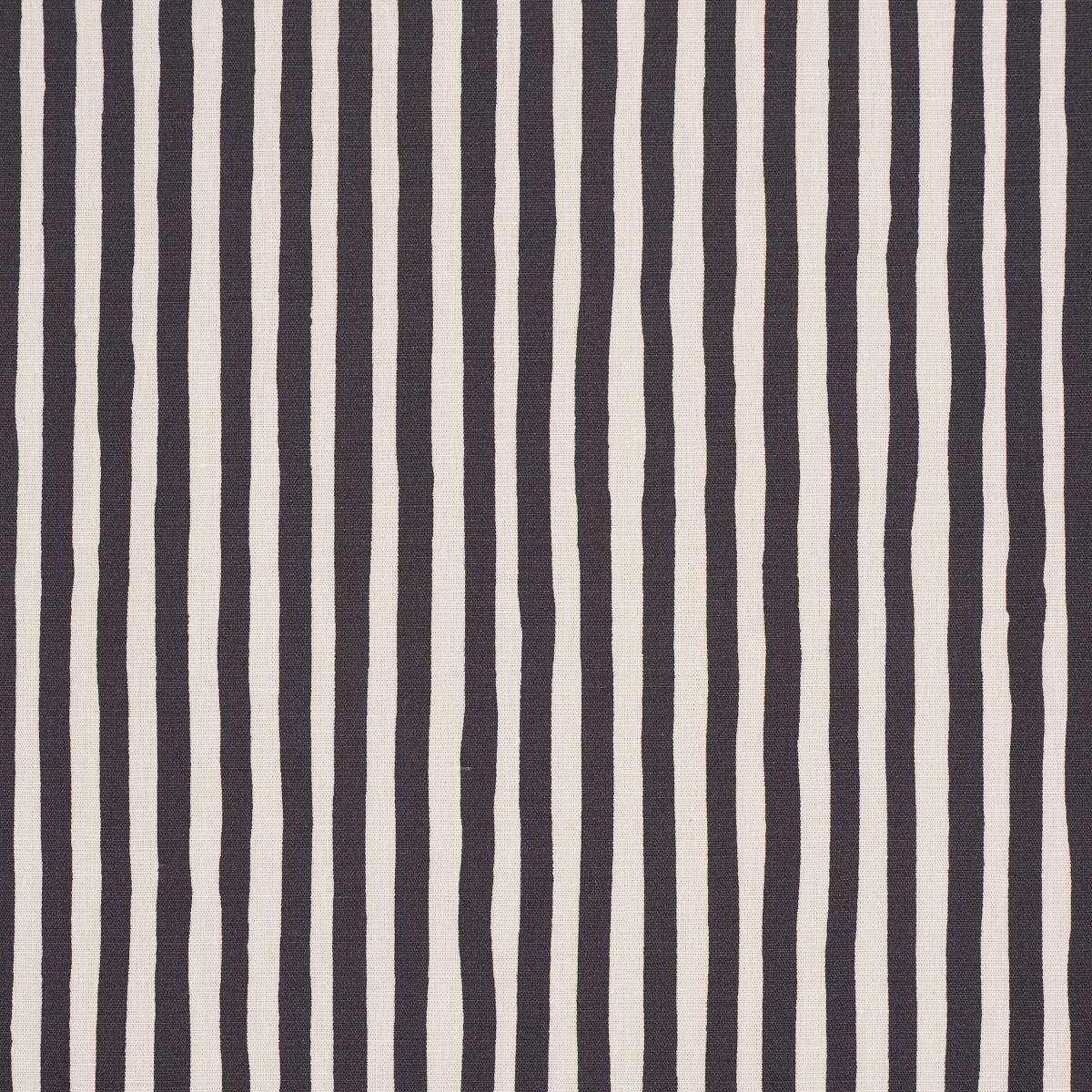 CHANEY-STRIPE-CARBON-SCHUMACHER-182552