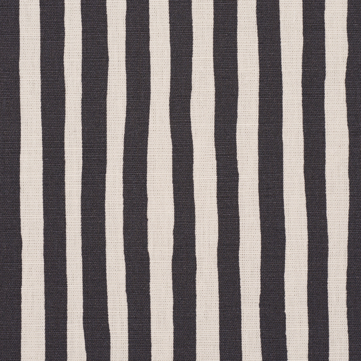 CHANEY-STRIPE-CARBON-SCHUMACHER-182552