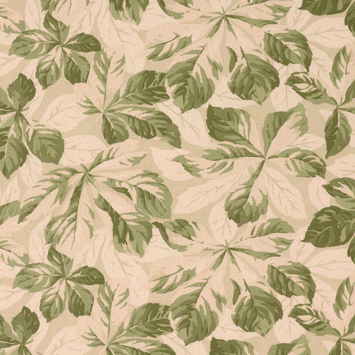 ARBOREAL-SAGE-SCHUMACHER-182650