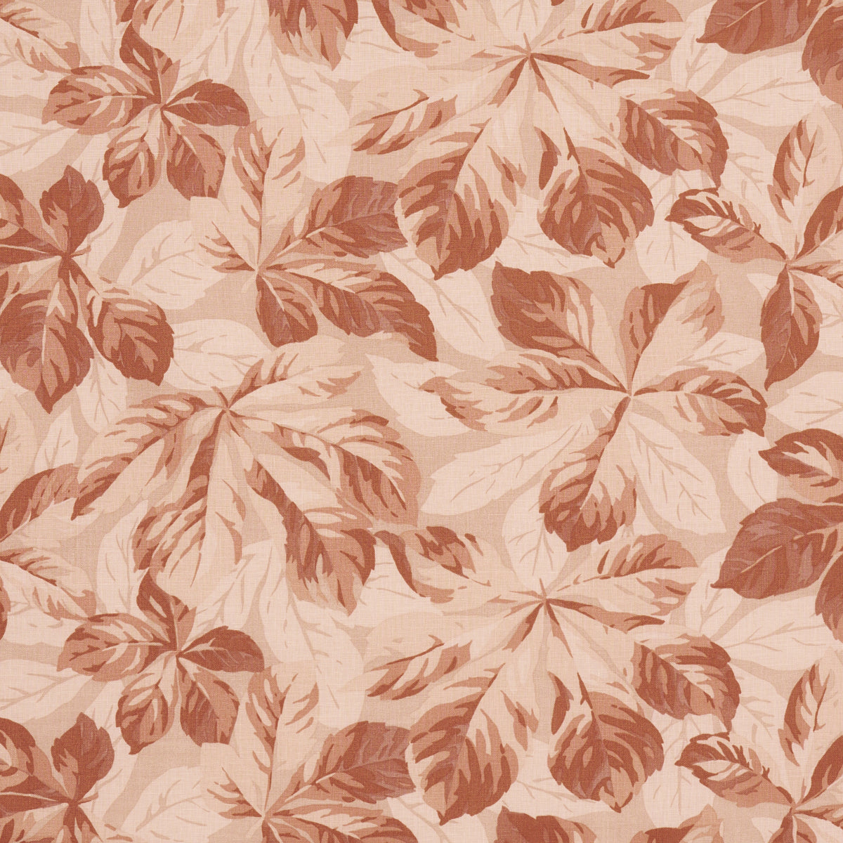 ARBOREAL-SPICE-SCHUMACHER-182652