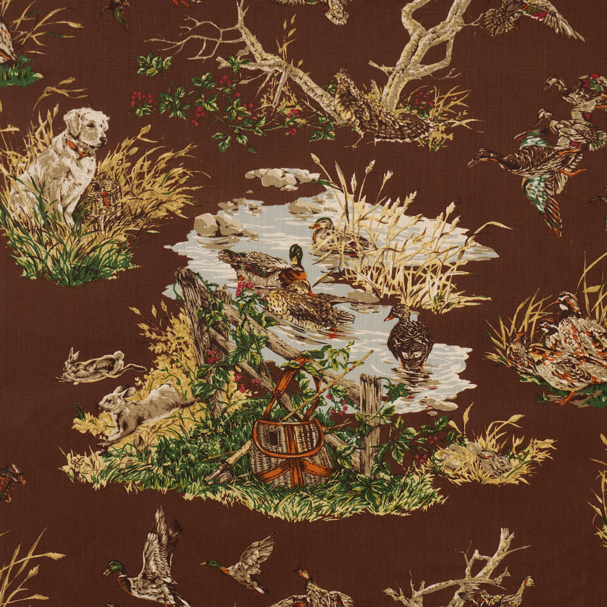 DOG-DUCK-BROWN-SCHUMACHER-182661