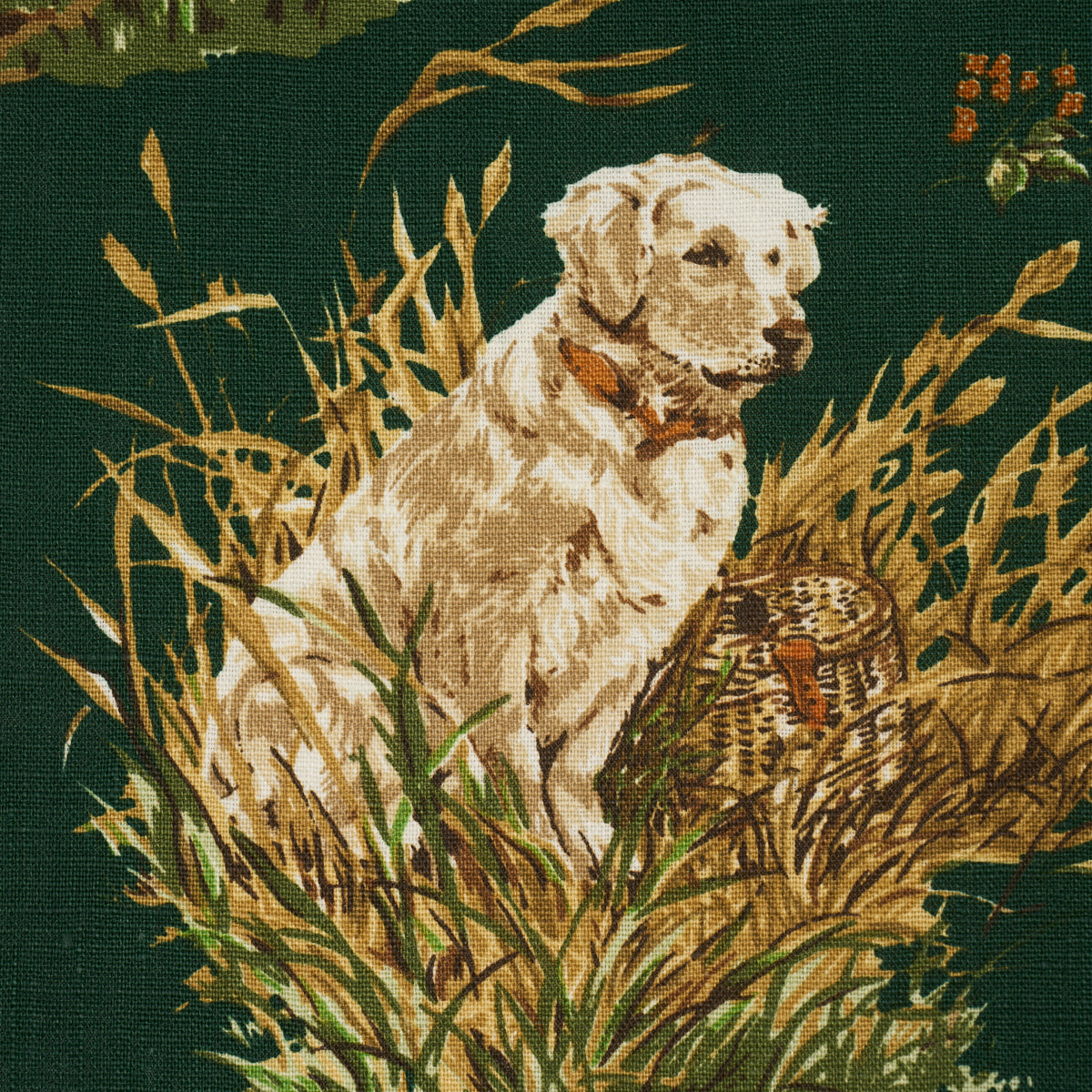 DOG-DUCK-VERDANT-SCHUMACHER-182662