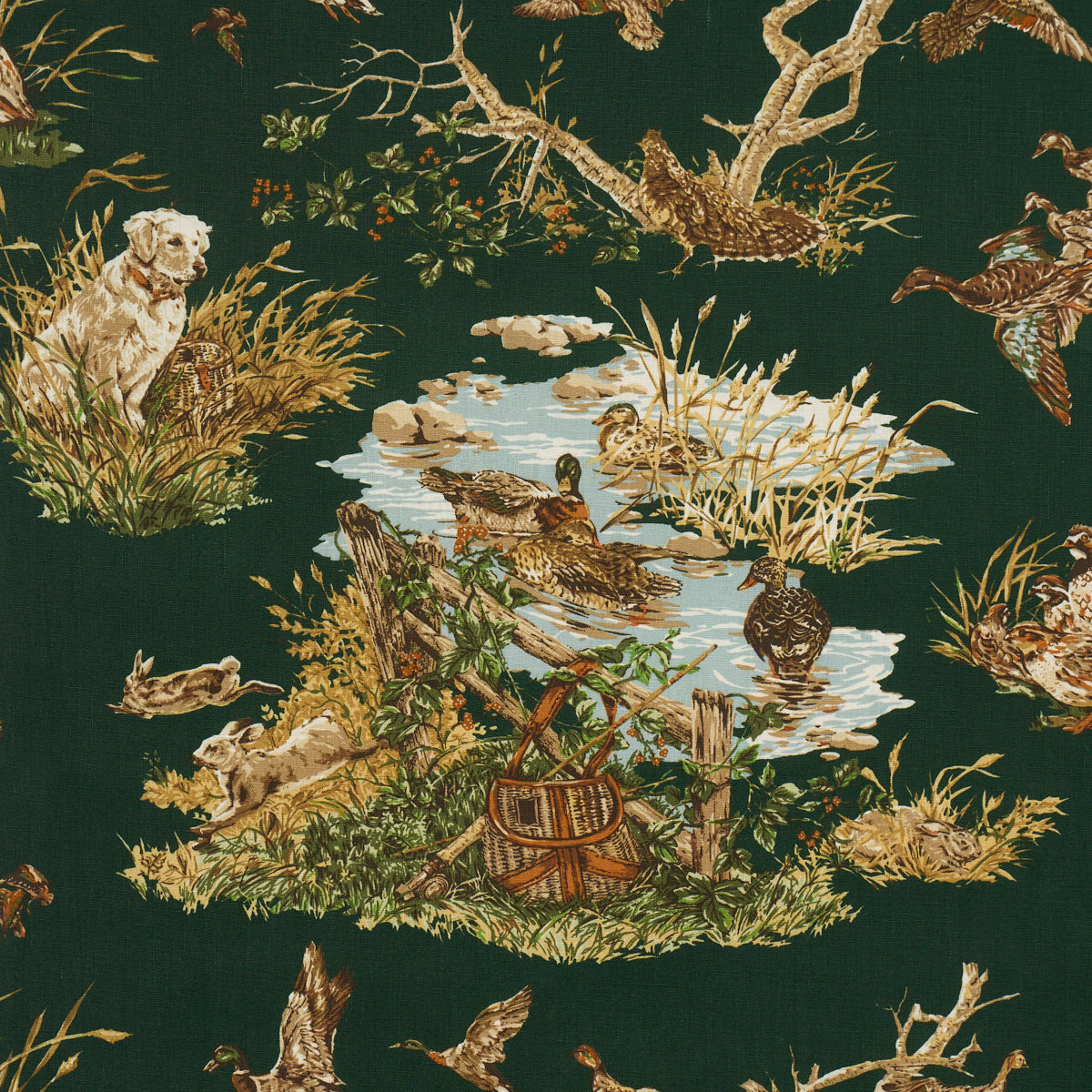 DOG-DUCK-VERDANT-SCHUMACHER-182662
