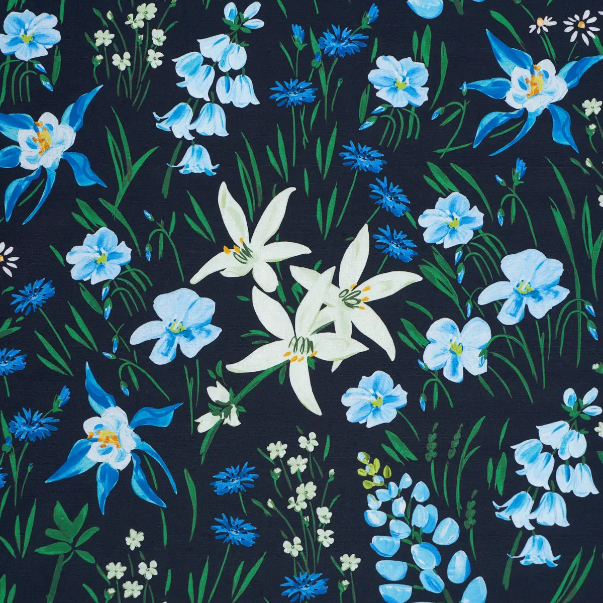 Oz Floral - Ebony - Schumacher 182850 Fabric