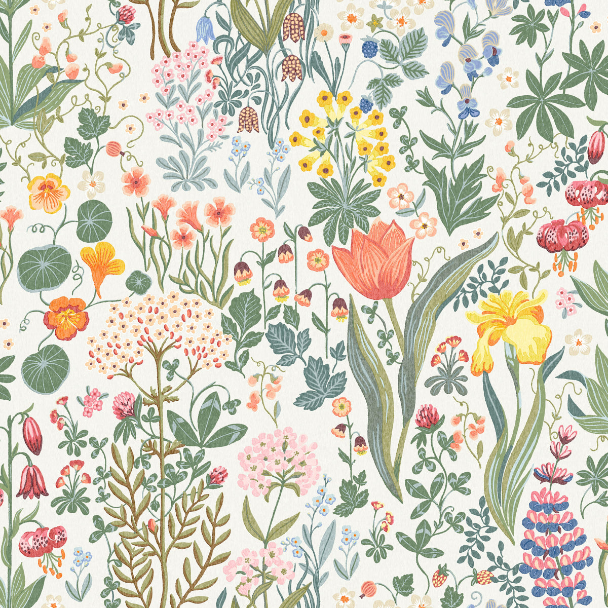 BLOMSTERHAV-MULTI-SCHUMACHER-2053