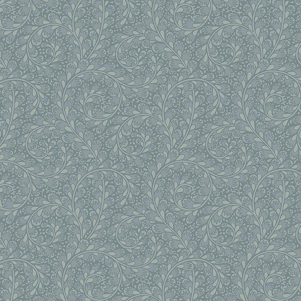 WILD-FERNS-BLUE-SCHUMACHER-2254