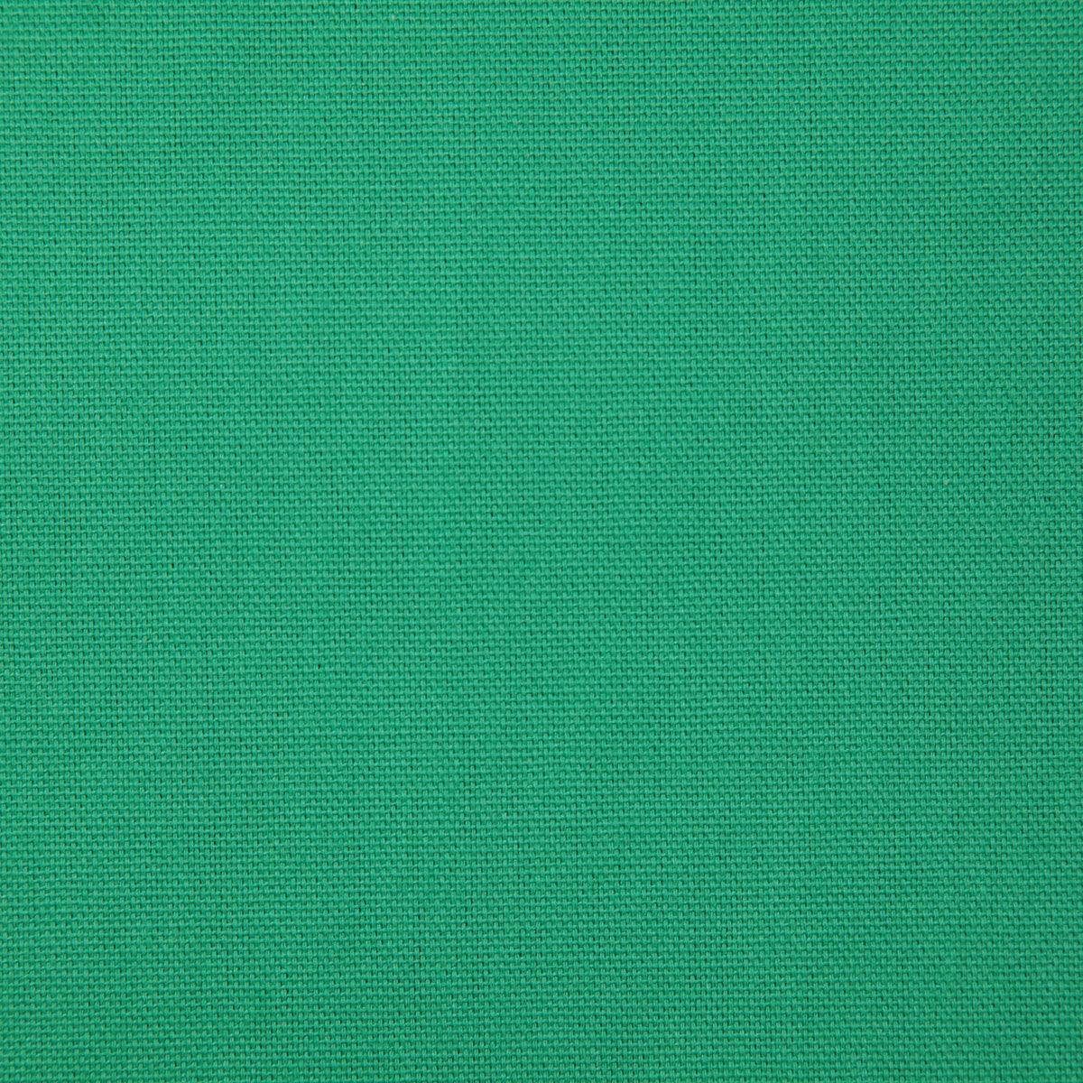 2381-callahan-jade-pindler