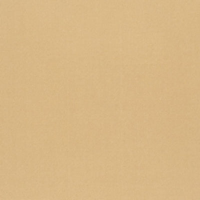 tiber-designers-guild-f1736-09