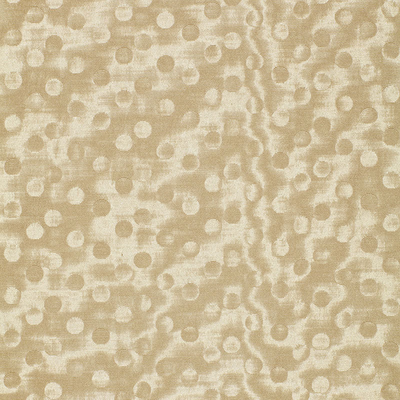 LIMELIGHT-CASHMERE-SCHUMACHER-2643681