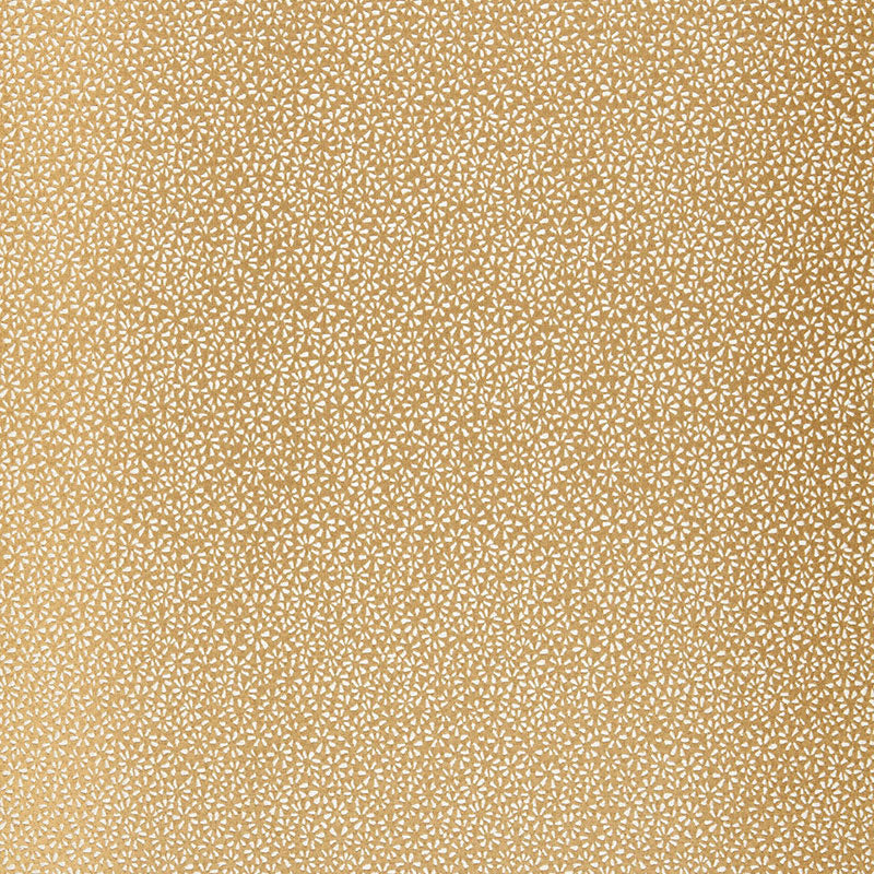 KYOUSHA-SILK-CHAMPAGNE-SCHUMACHER-2644521