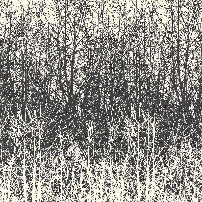 BIRCHES-BLACK-WHITE-SCHUMACHER-2707243