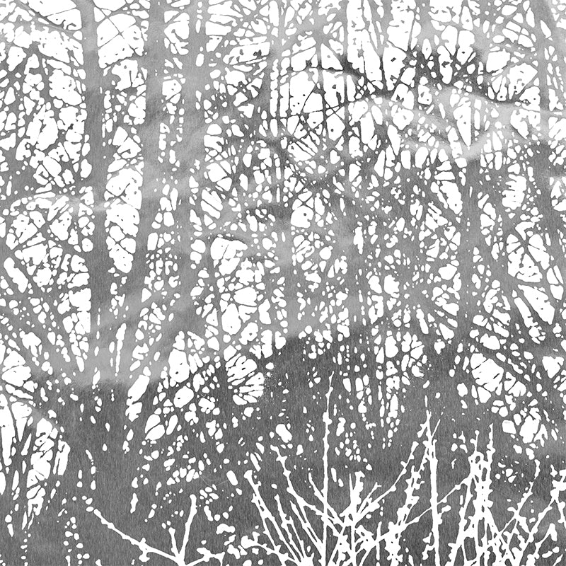 BIRCHES-SILVER-SCHUMACHER-2707244