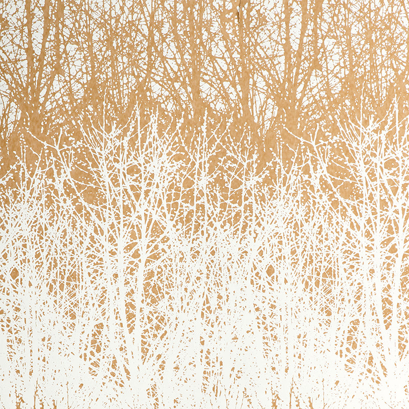 BIRCHES-TAN-SCHUMACHER-2707245
