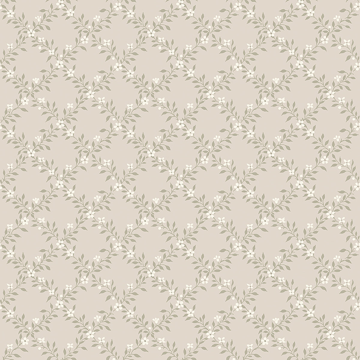 SOMMARSLJA-SAGE-SCHUMACHER-3271