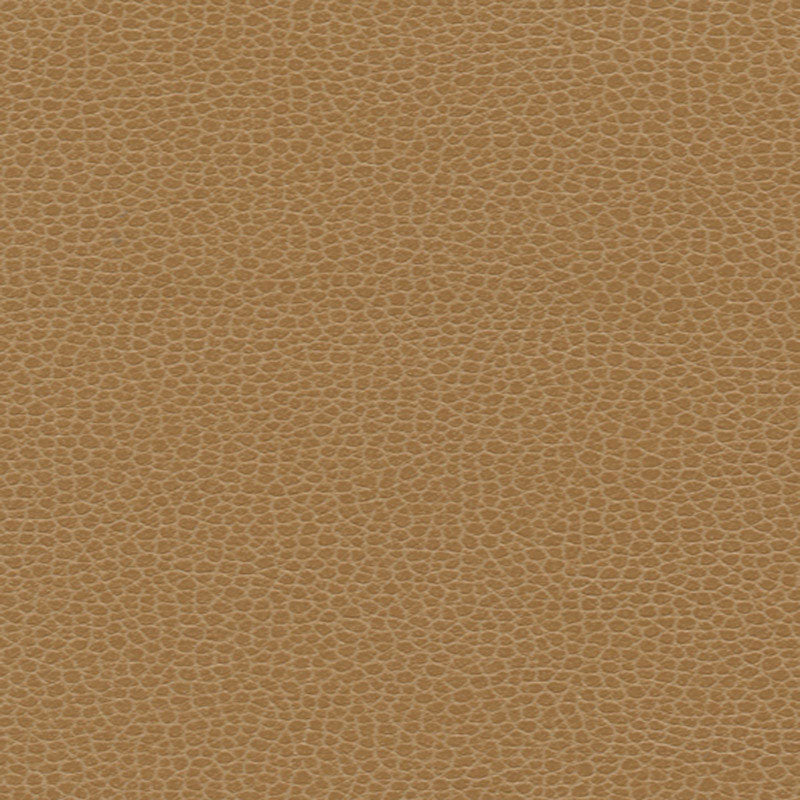PROMESSA-CAMEL-SCHUMACHER-363-3142
