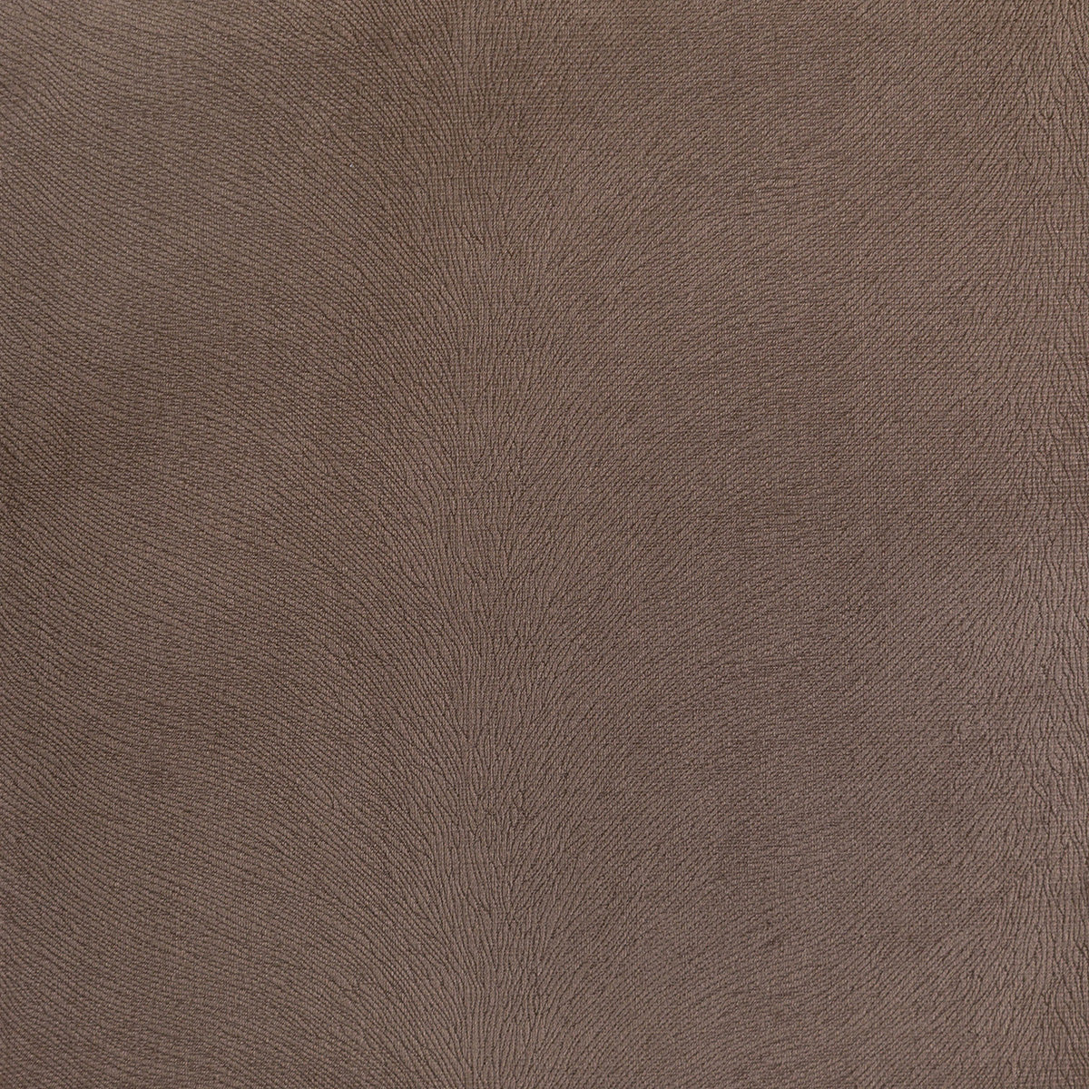 3767-overton-bark-pindler