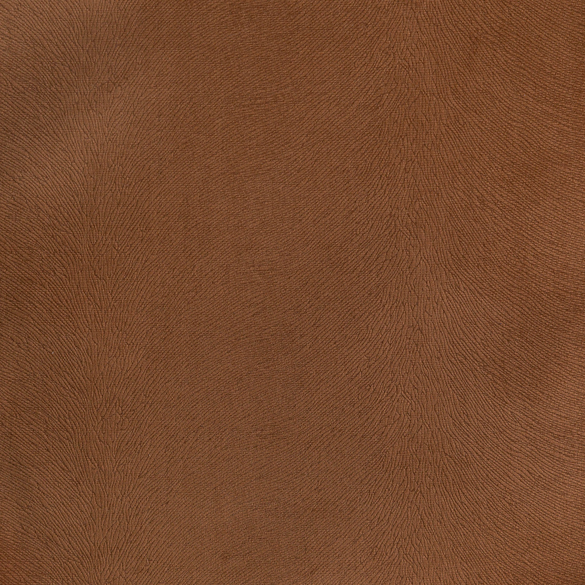 3767-overton-vicuna-pindler