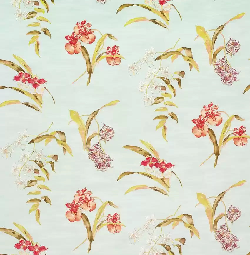 perroquet-orchis-nina-campbell-ncf3824-02