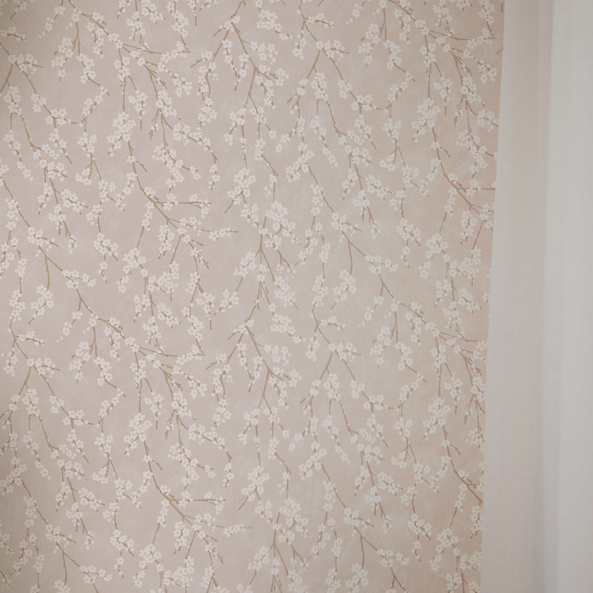 ALICE-BLUSH-SCHUMACHER-3977