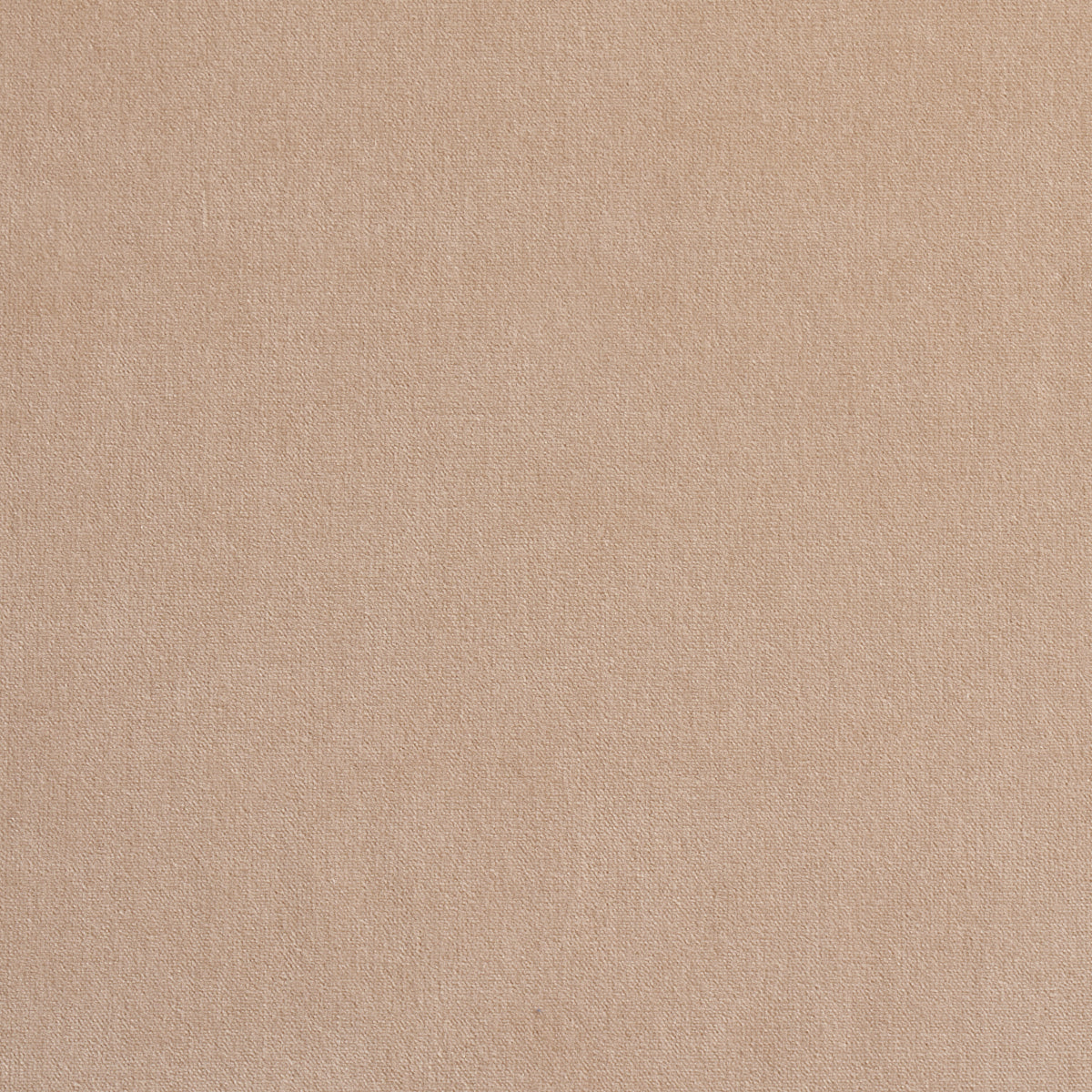 GAINSBOROUGH-VELVET-BONE-SCHUMACHER-42780