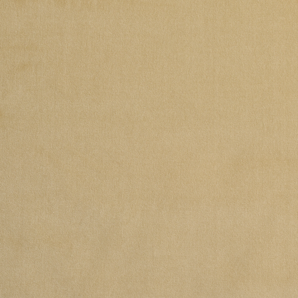 GAINSBOROUGH-VELVET-CHAMPAGNE-SCHUMACHER-42782