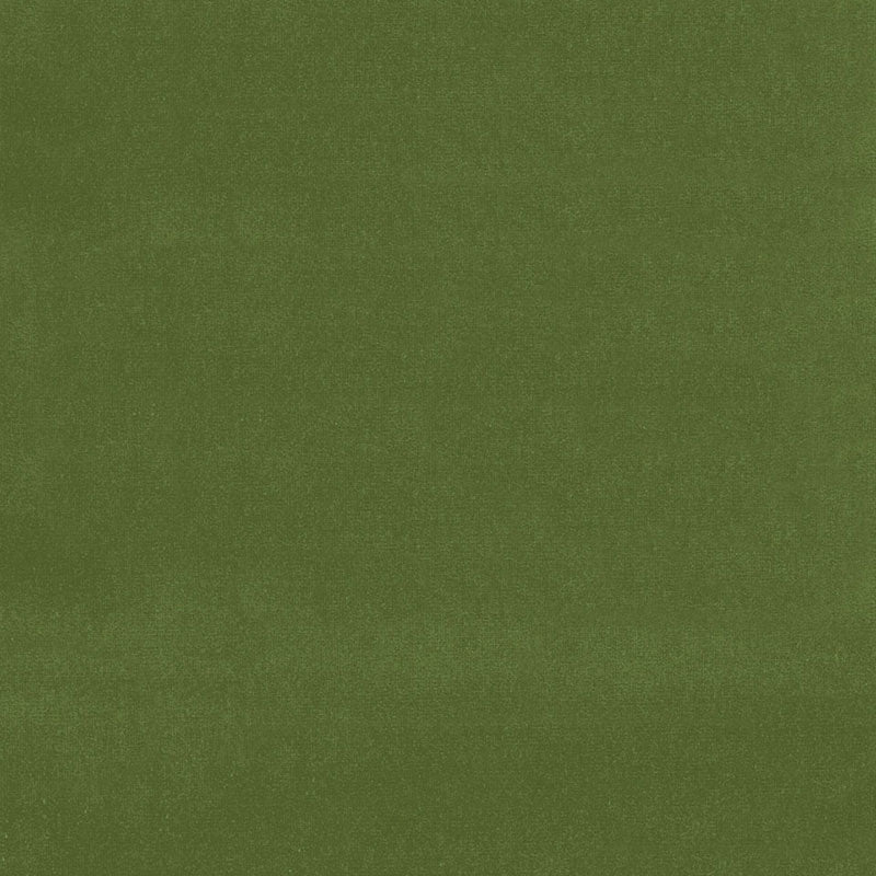 GAINSBOROUGH-VELVET-FERN-SCHUMACHER-42869