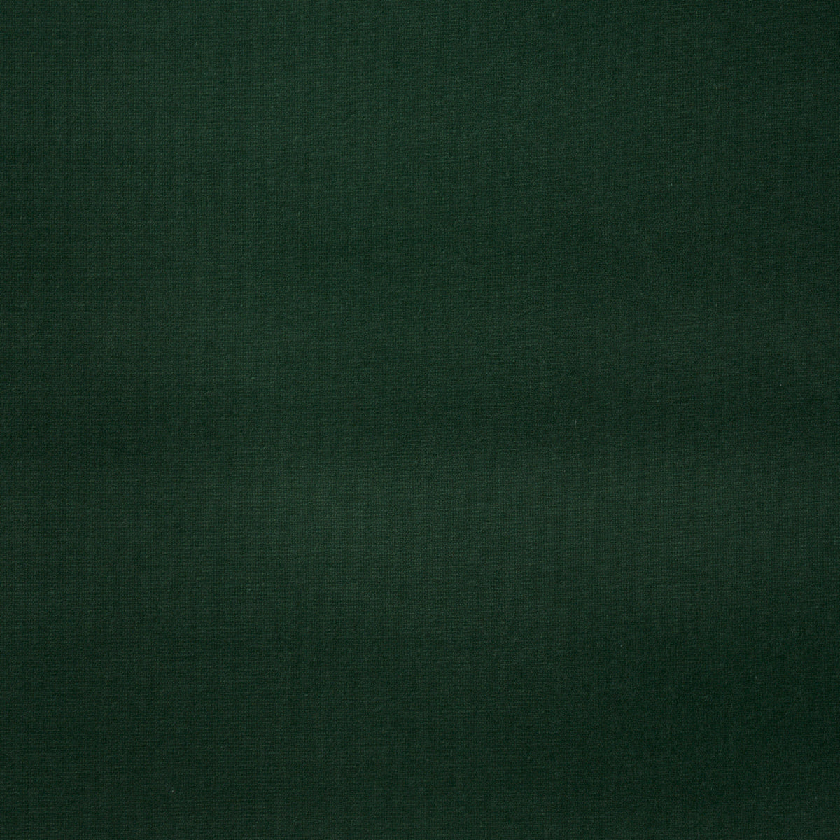 GAINSBOROUGH-VELVET-HUNTER-SCHUMACHER-42885