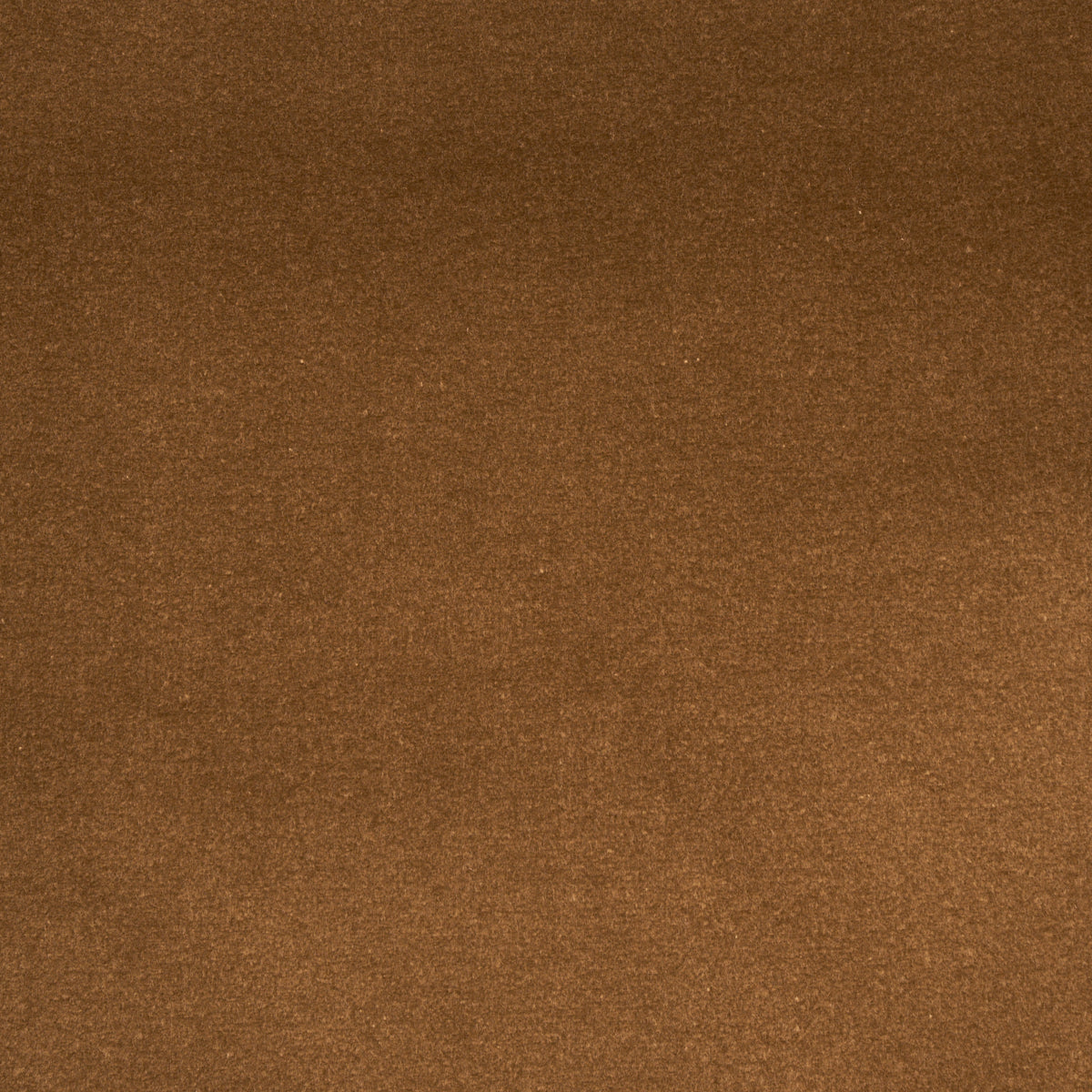 COTTON-CLUB-VELVET-MUSHROOM-SCHUMACHER-43422